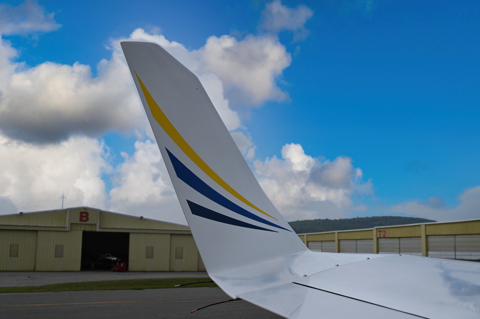 White T-tail with blue and gold stripes against a cloudy blue sky